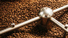 Exploring the ingredients that define our coffee